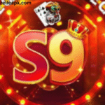 s9 game
