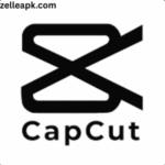 Capcut app