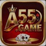 A55 game